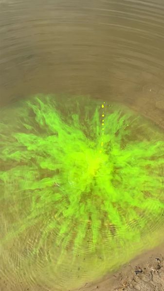 Fluo Zig Rig 74000 фото