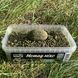 Метод мікс для лову коропа Зеленогуба Мушля / Method Mix GLM 83002 фото 3