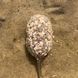 Стік та Метод мікс Мигдаль-Часник / Stick & Method mix Almond-Garlic 82008 фото 3